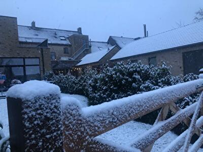 sneeuw in de tuin