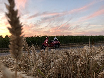 scooter in de zomer